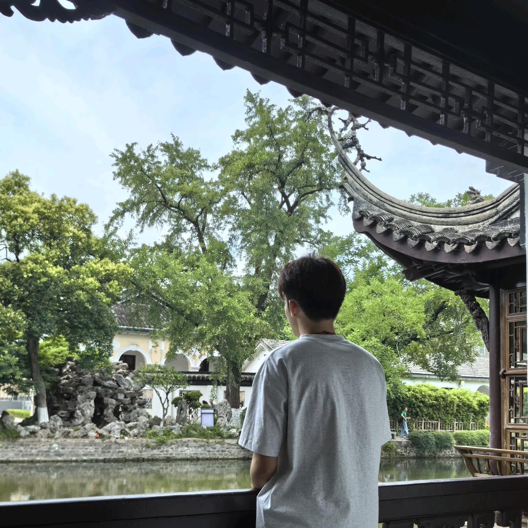 玉米须