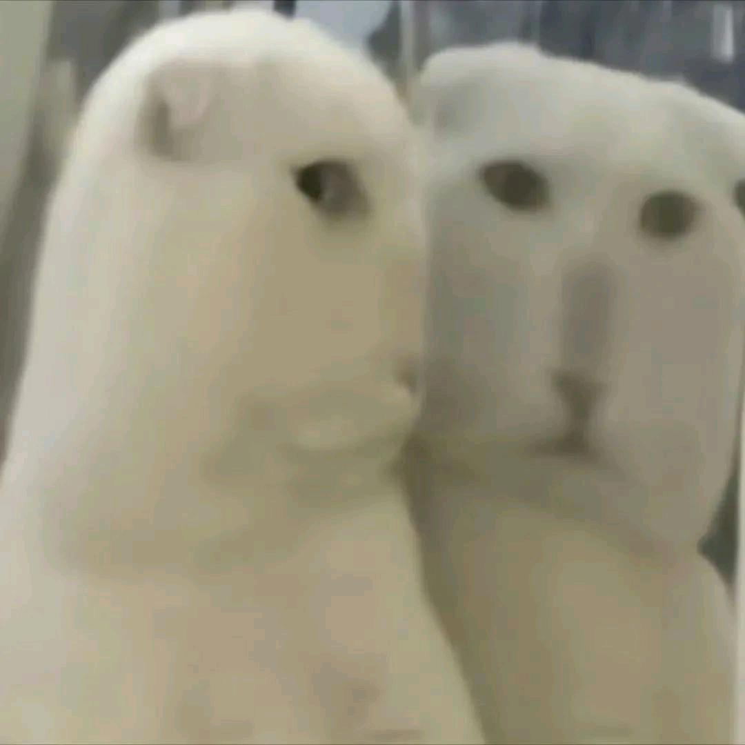 对滴