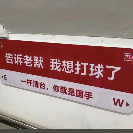 皮小蛋