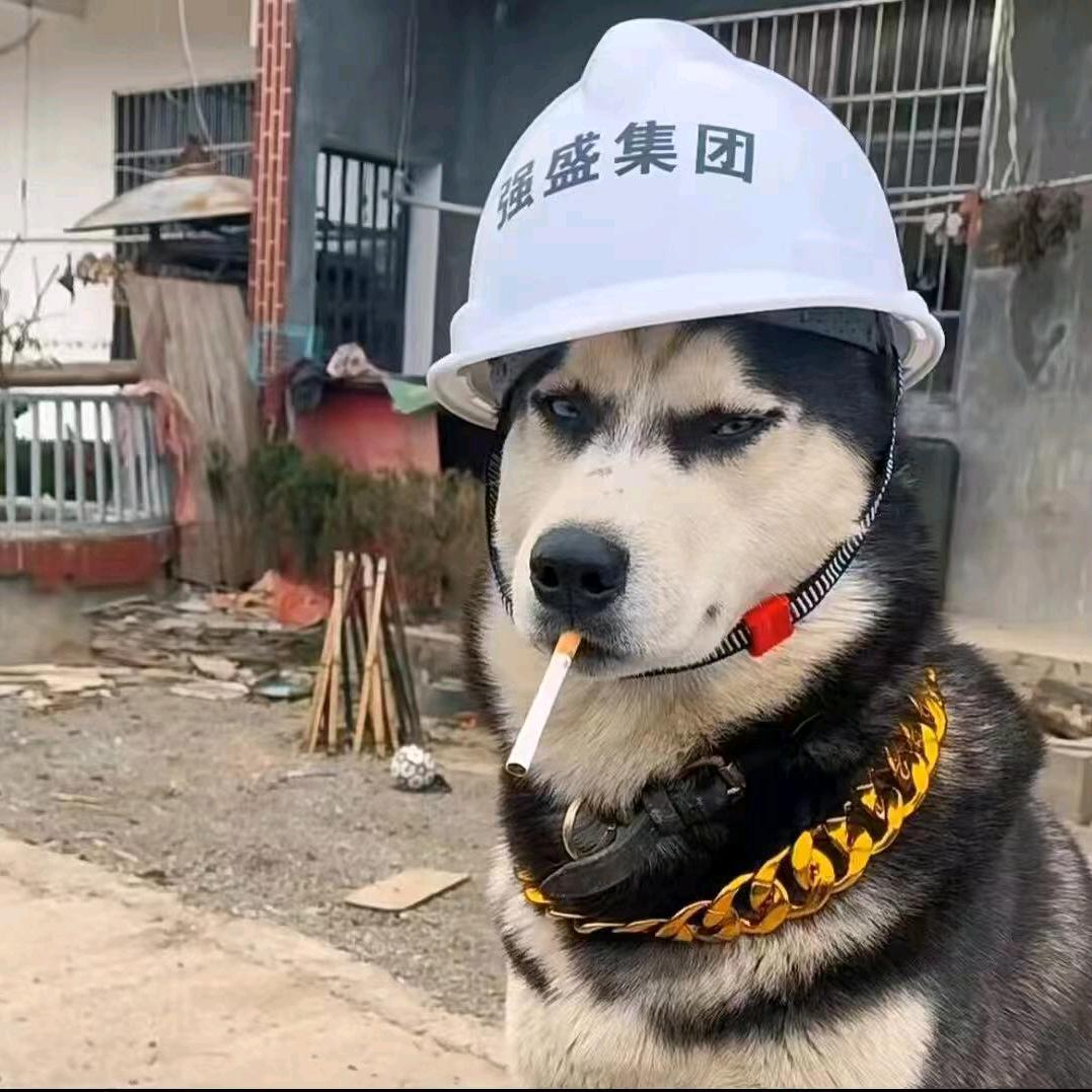 玻璃顶  液压货梯  彩钢顶  大小厂房