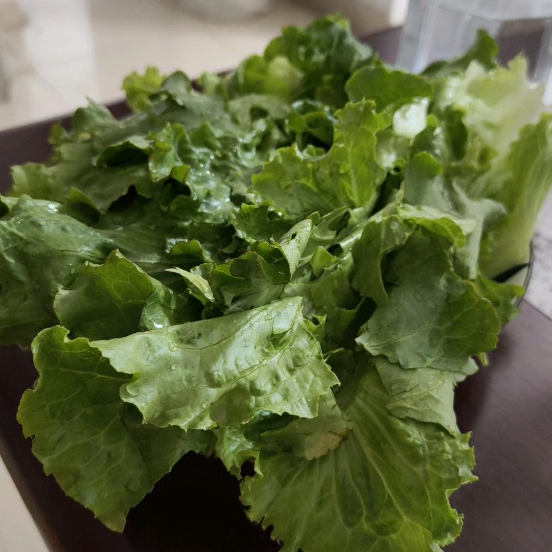 宠物读物