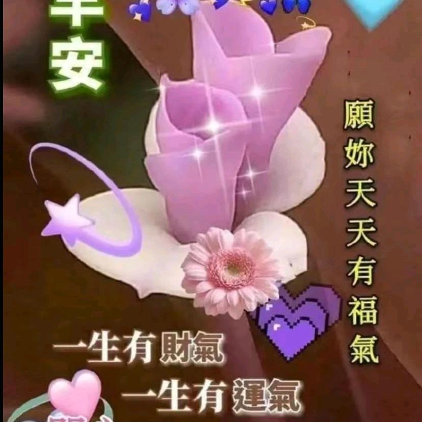 缘梦之旅3