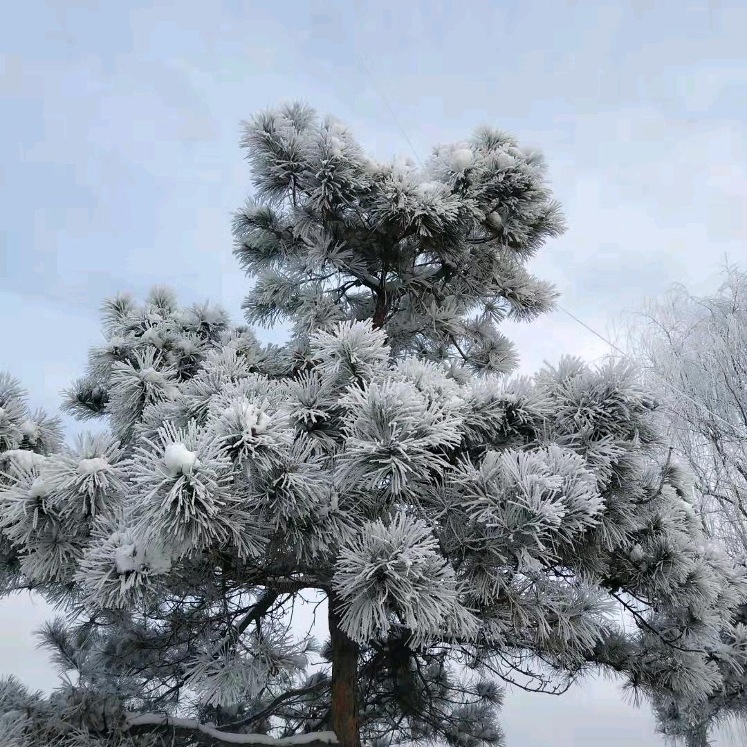 参临其境～小梁特产