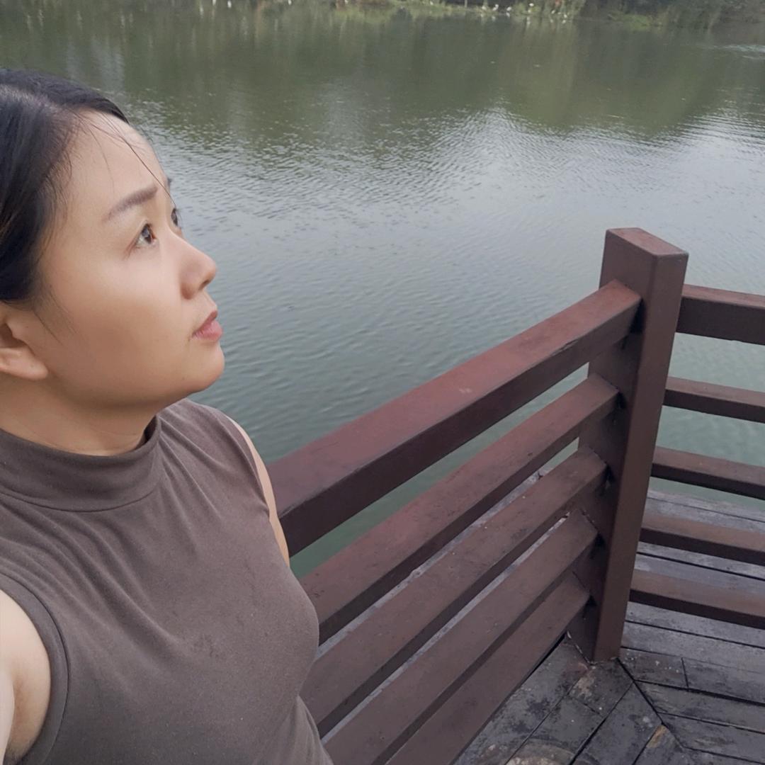 忘忧草🌿🌿🌿