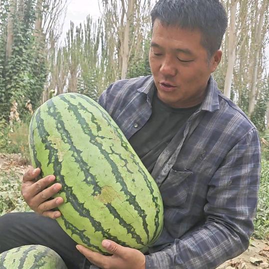 南疆老杜
