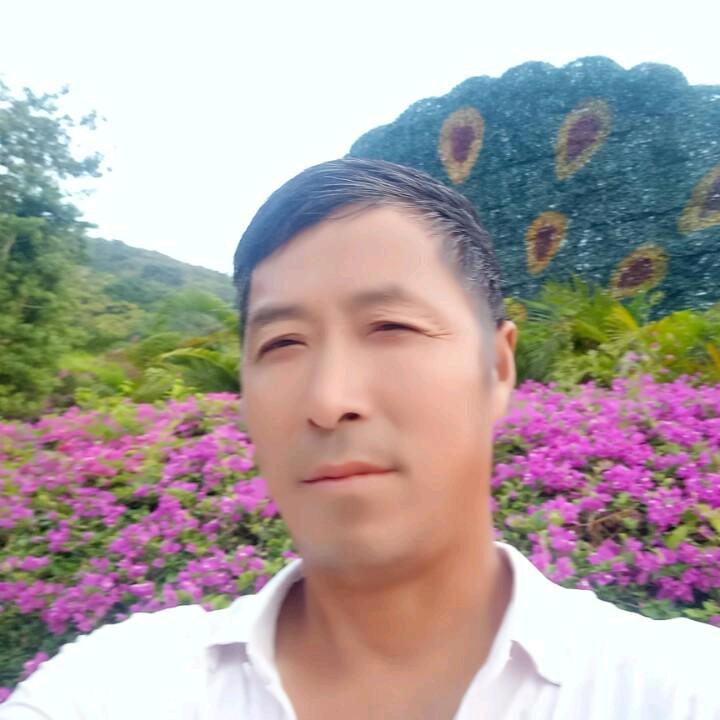 河南木工在三亚