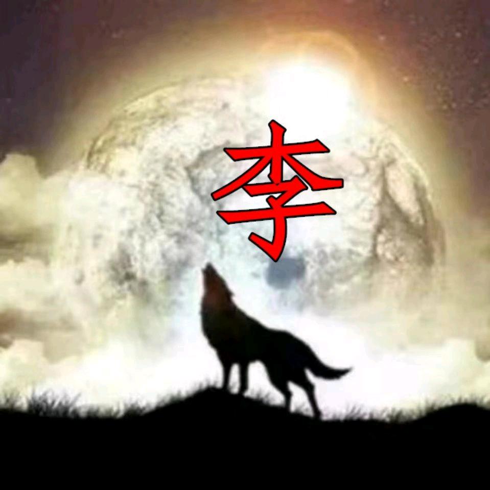 孤傲狼王⭐🚀