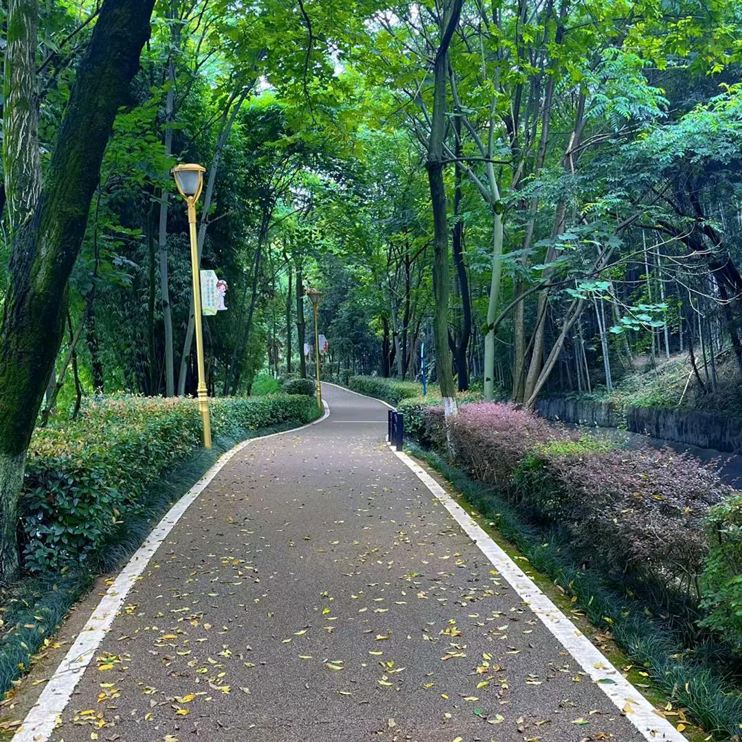 云烟深处
