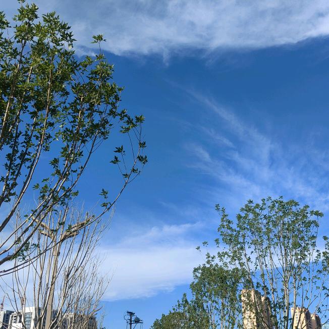 正气做人，锐气做事（幕墙铝板）