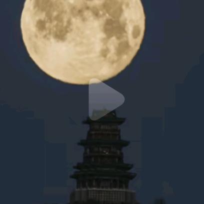 一个人