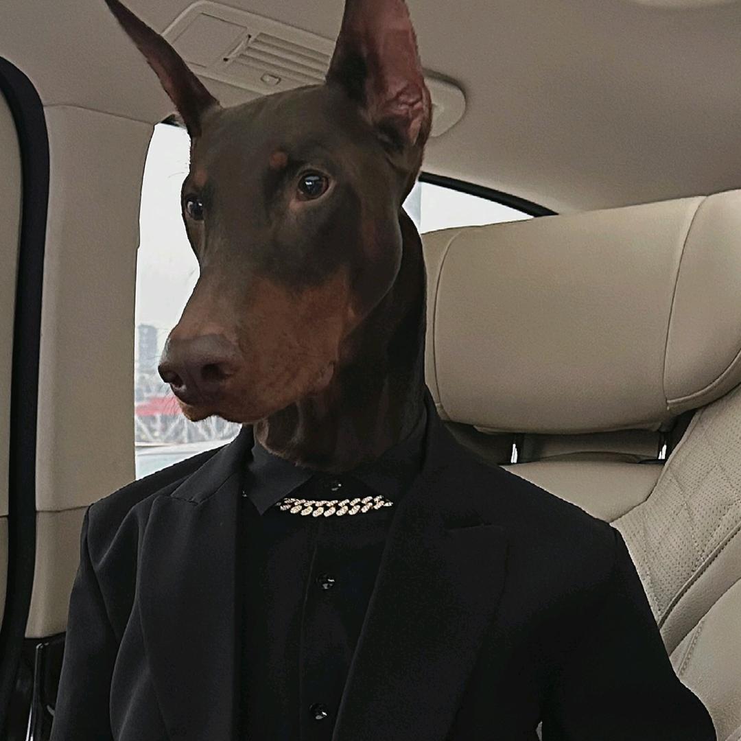 CSGO枭龙(22年安特即将爆燃)