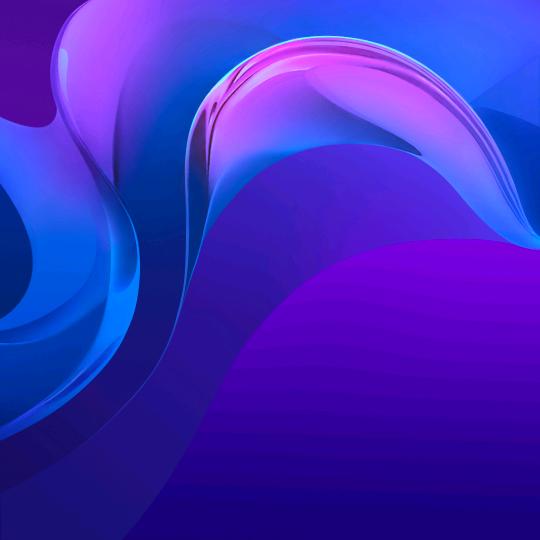 情兽
