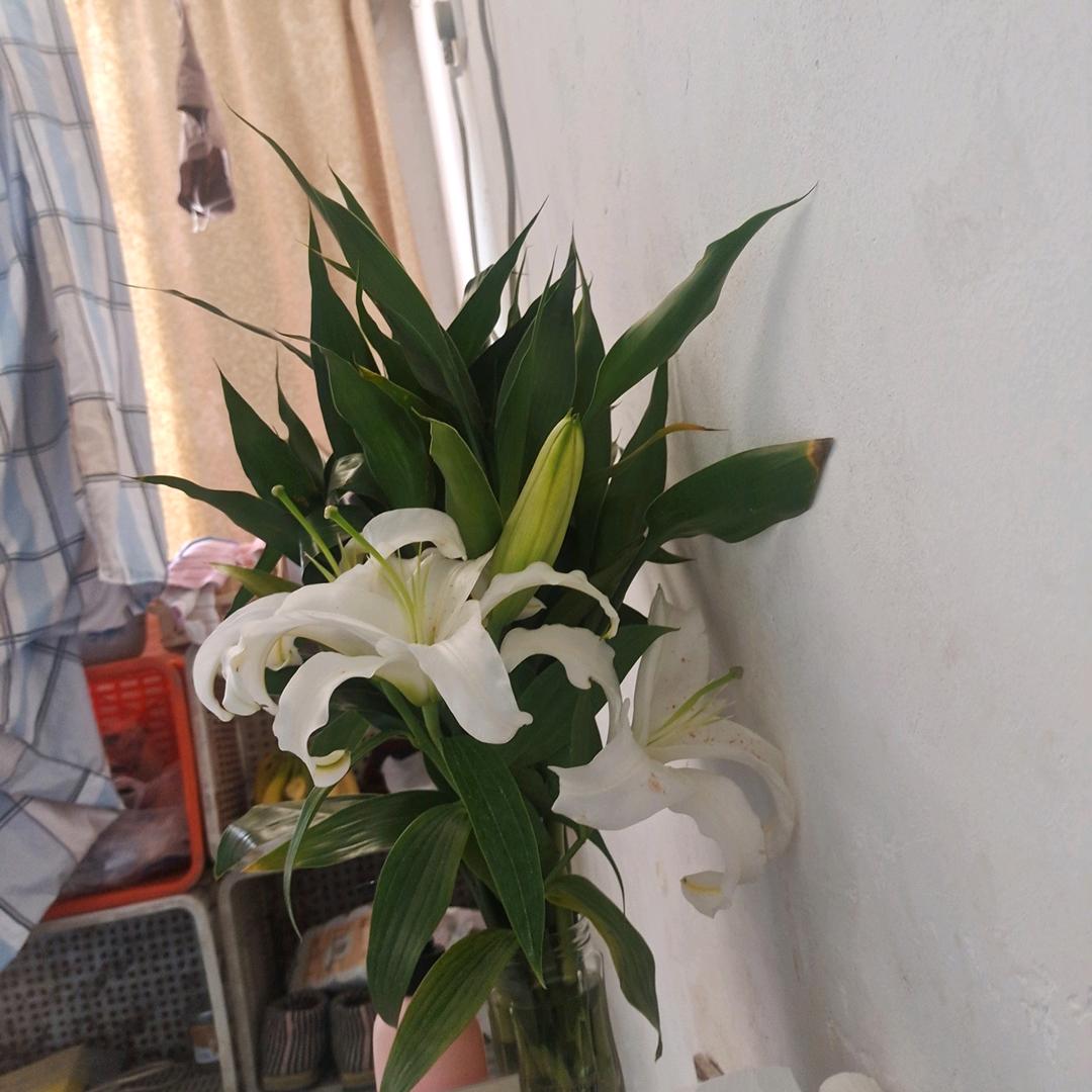 平淡生活