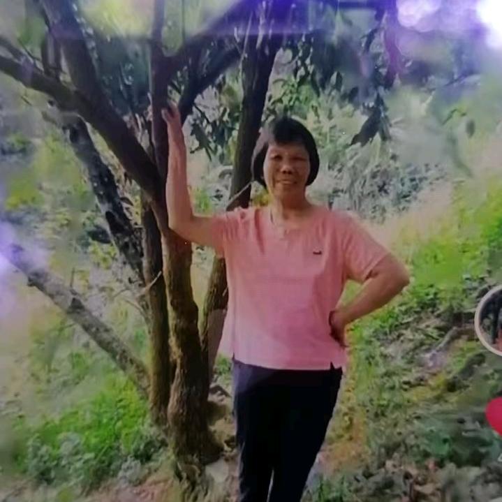 张友芳