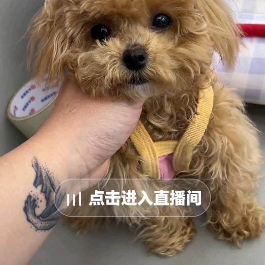 林天浩