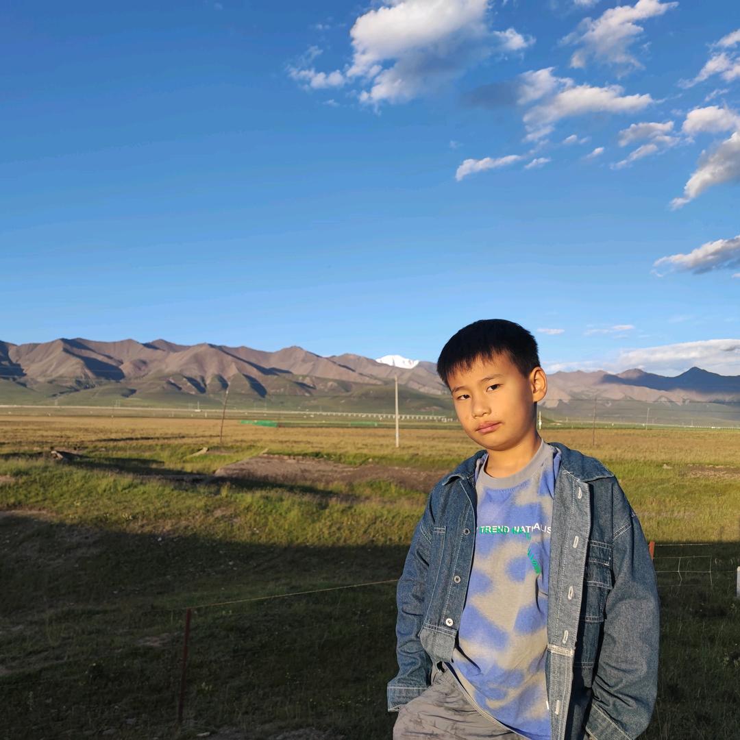 阜阳双沟江松柏