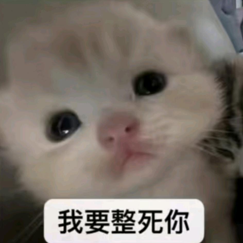 ⦁ᯅ⦁