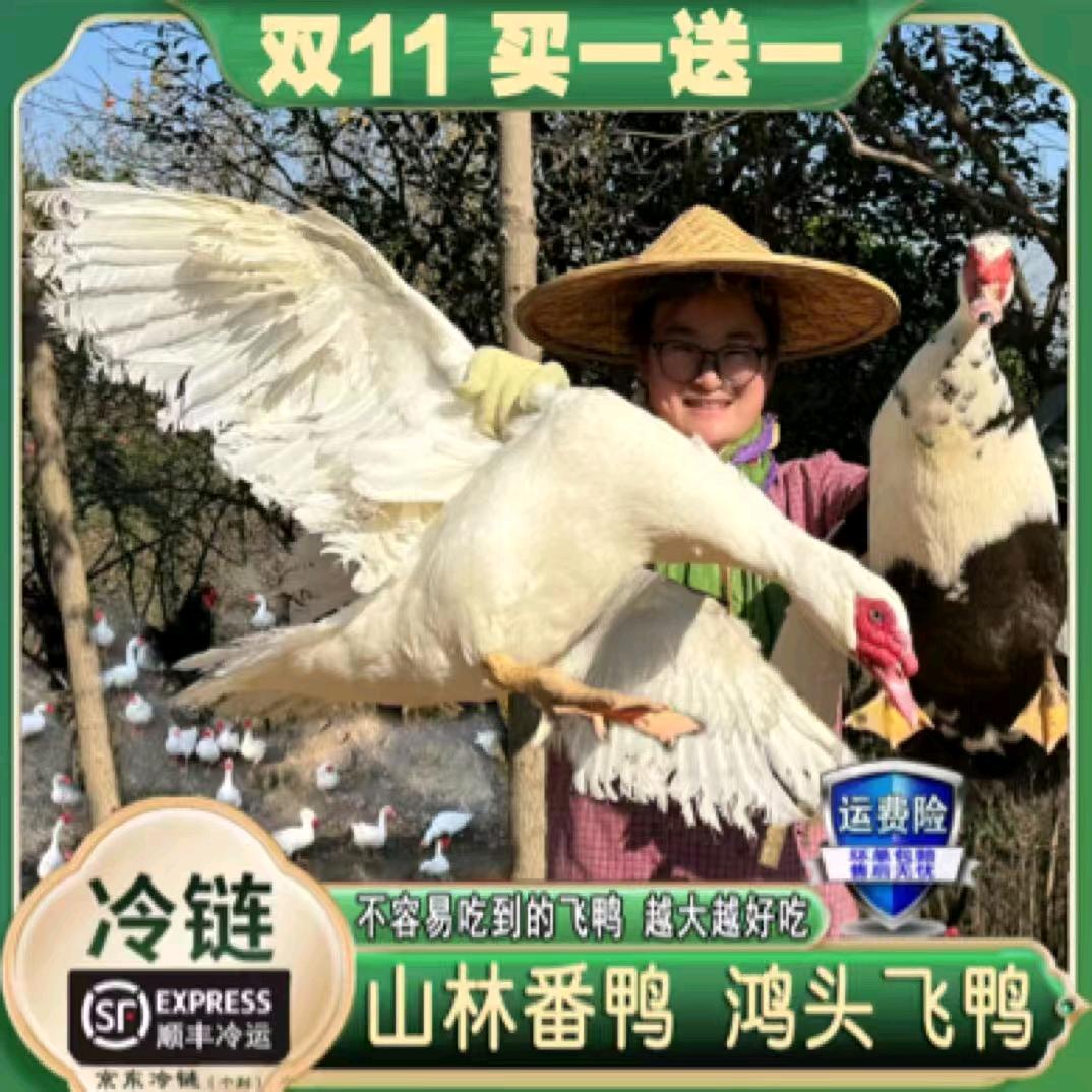山东大鹅
