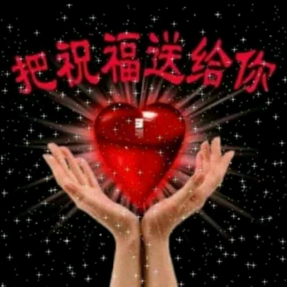 多宝晚上7:20