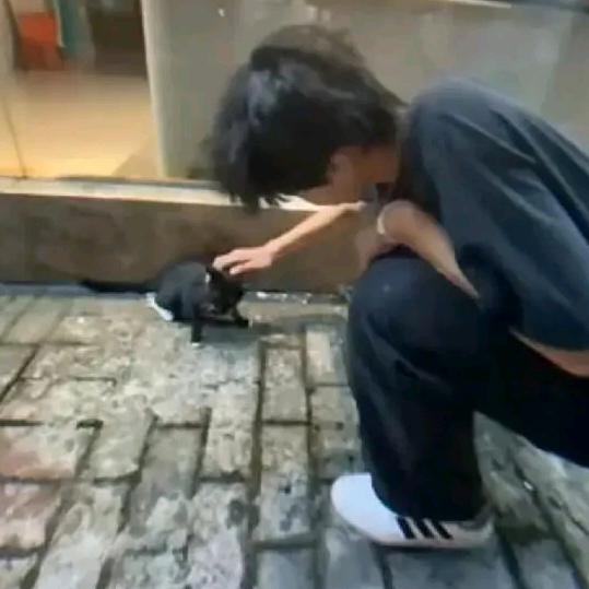 栀薏涣
