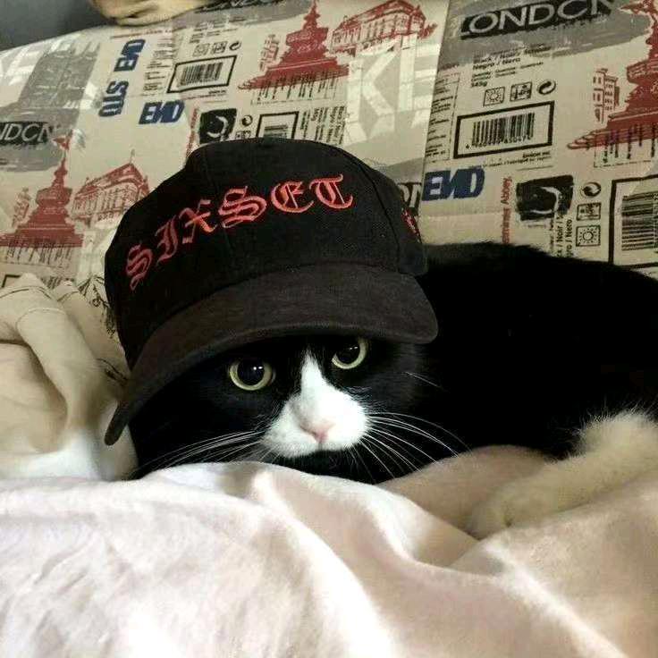 星象仪ི