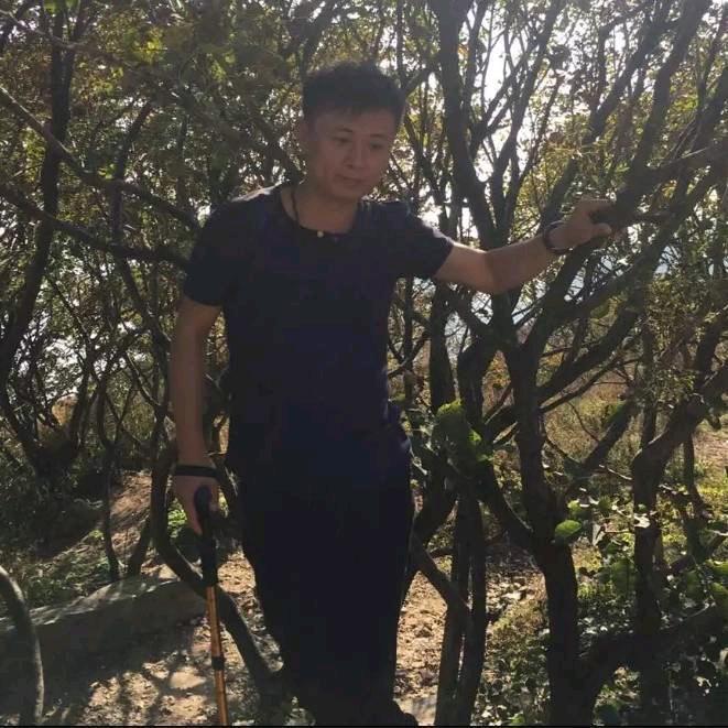 ◥◣張❤️宁◢◤