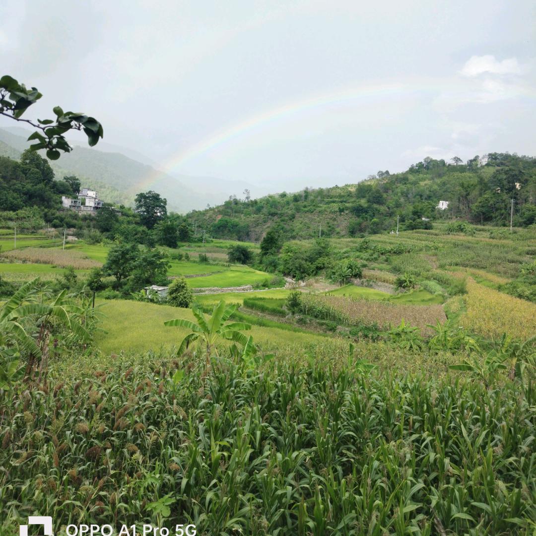 💗᭄余生ᝰᩚ善待✪自己❀