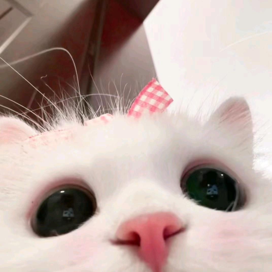 3 3