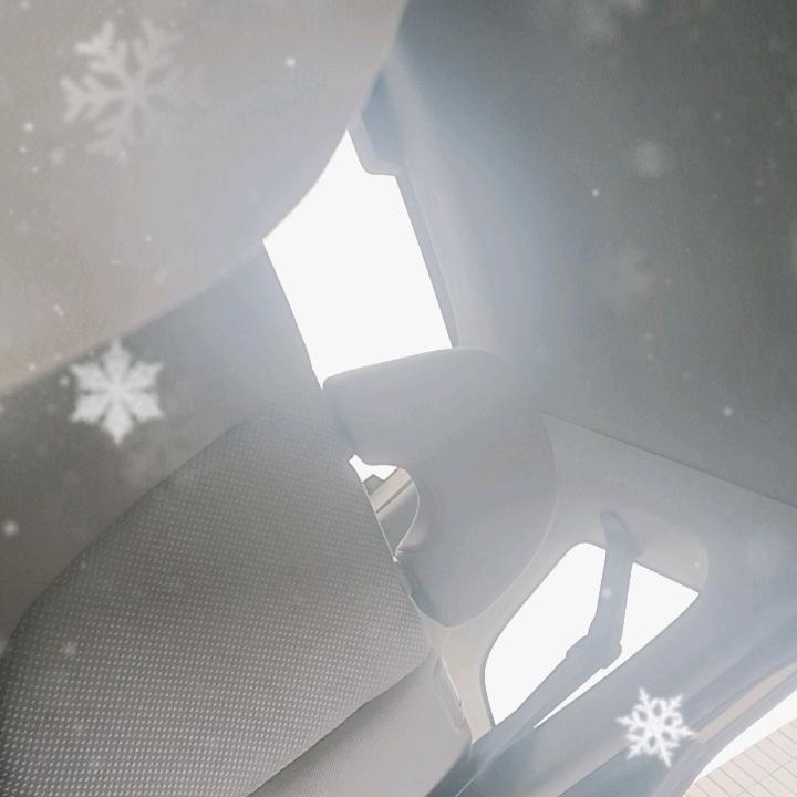 友谊万岁