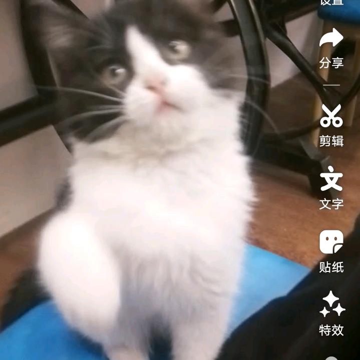 温柔是一种奢侈品
