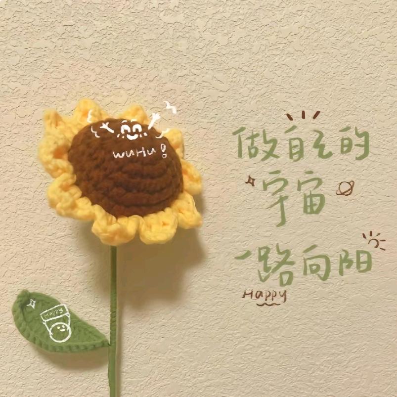 扬州烟雨扬城汽车租赁公司
