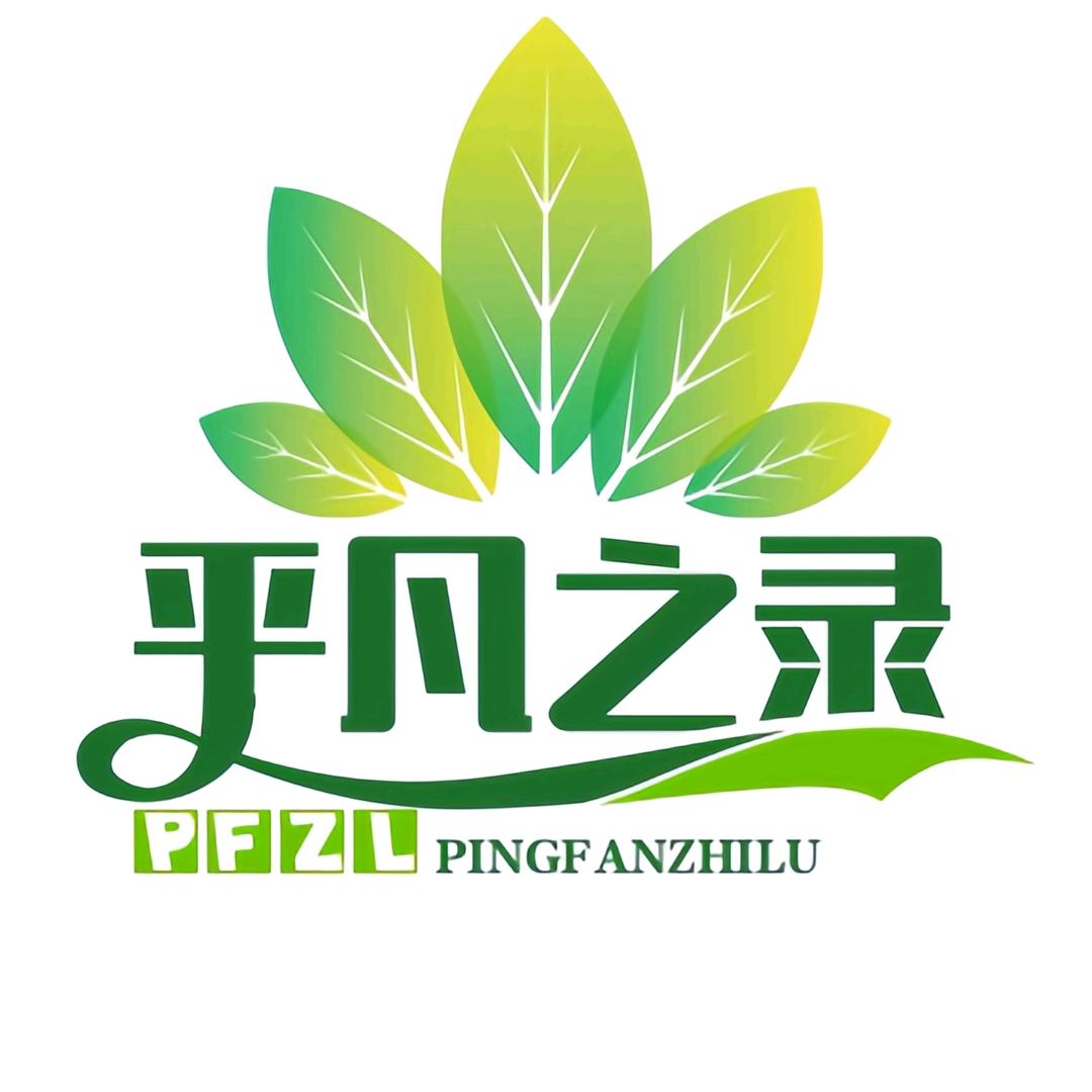 平凡之录