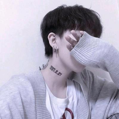 小巨蟹d
