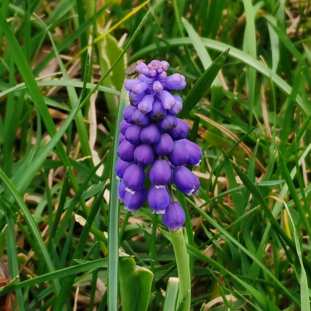 🌻一路向前🌻