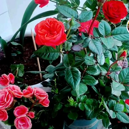 水火无情，人更无情。