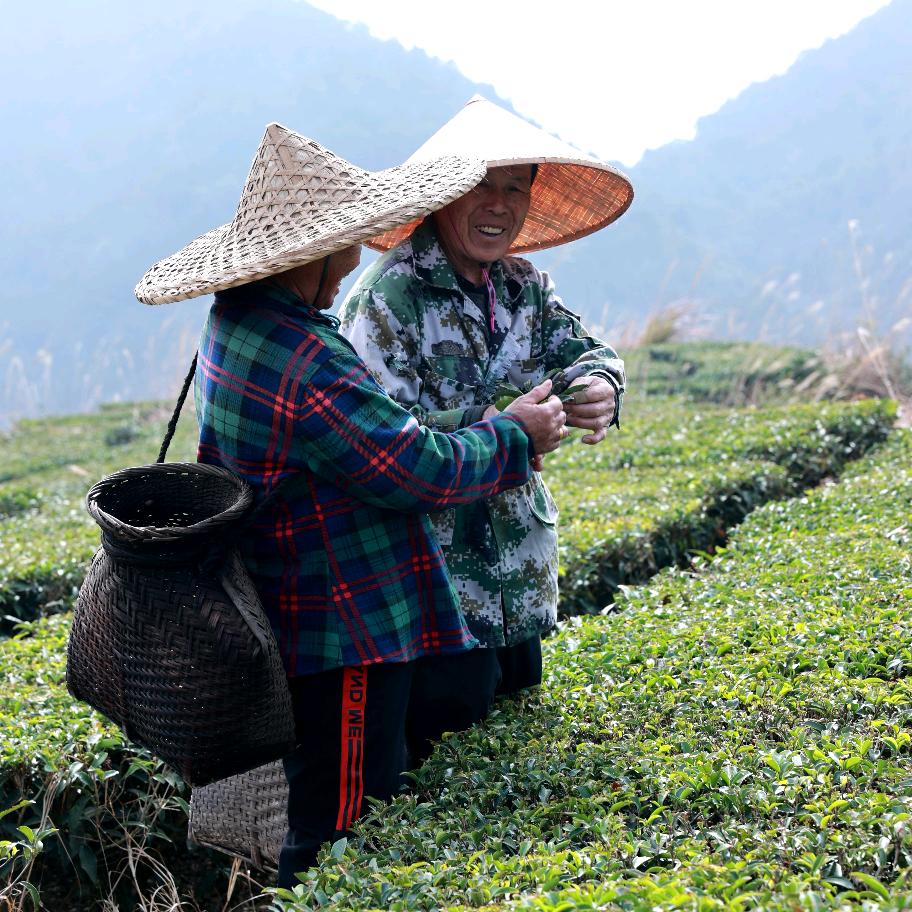 老李茶话会