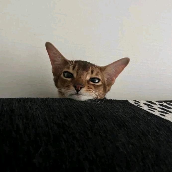 lllllll