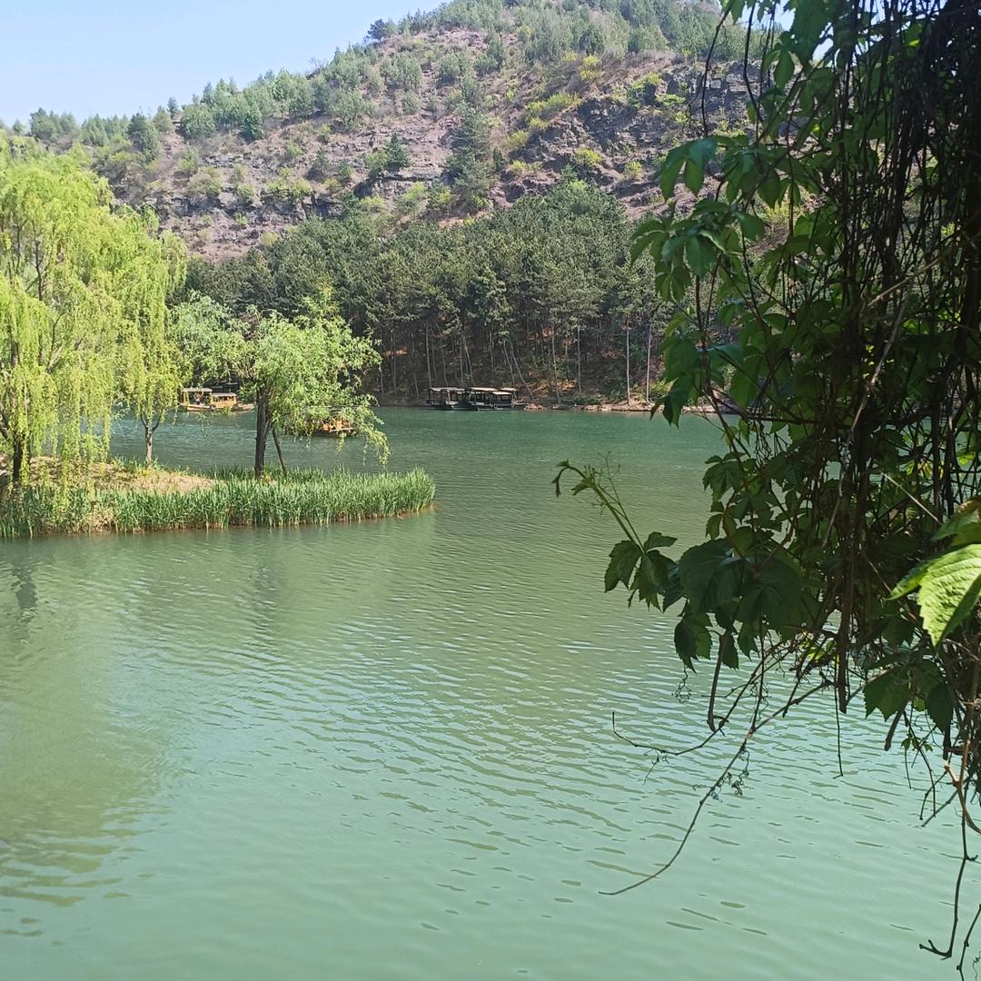 拉面大王快餐城(新华路店)