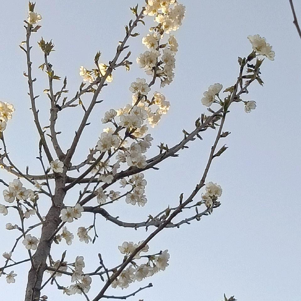 一瞬间的烟火