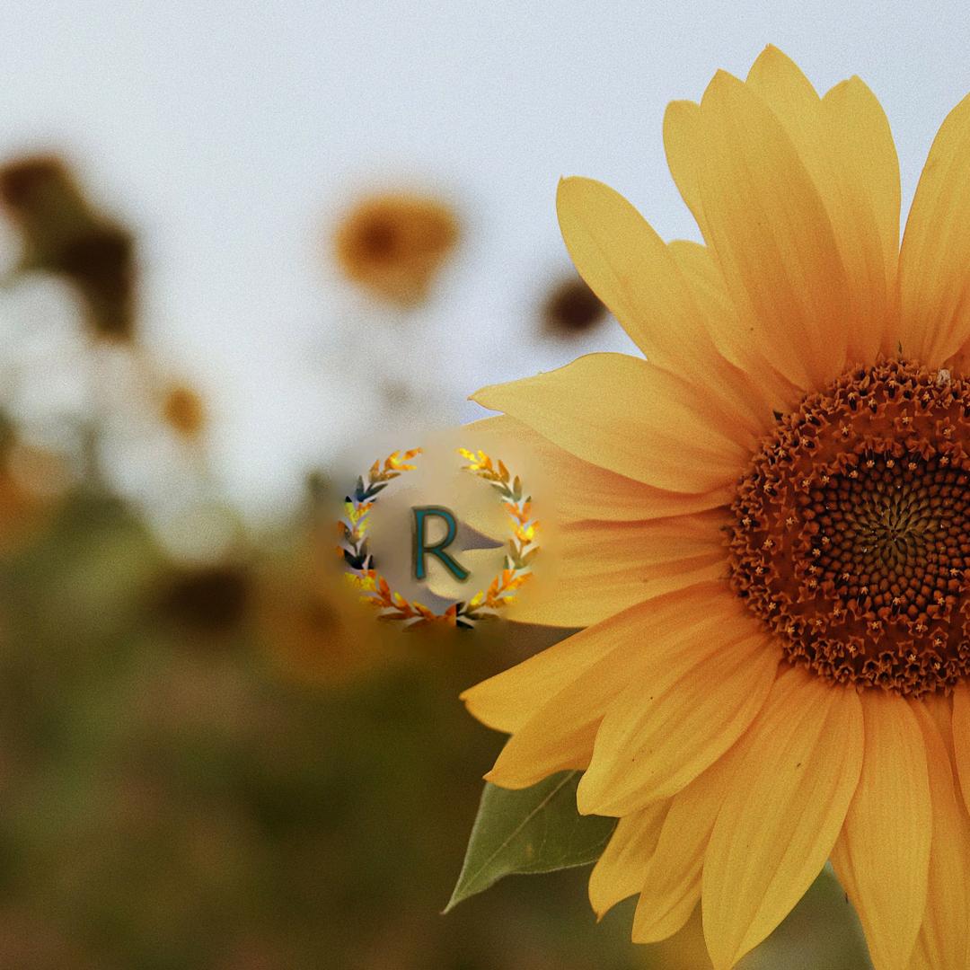 恪居装饰材料有限公司