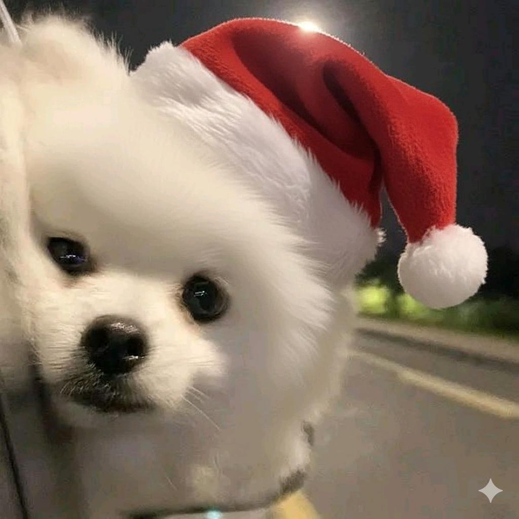一起走夜路吗