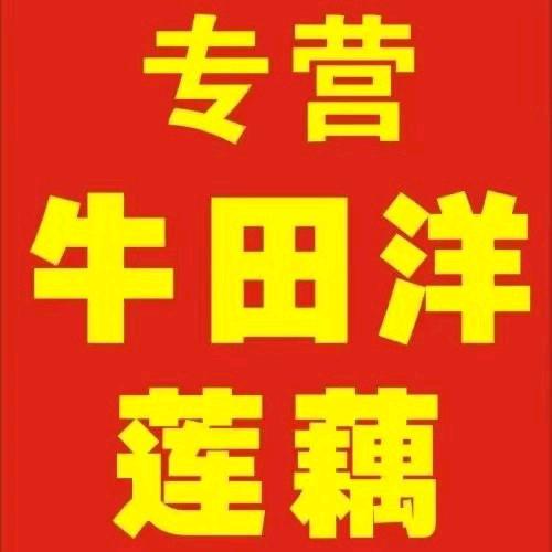 斌哥