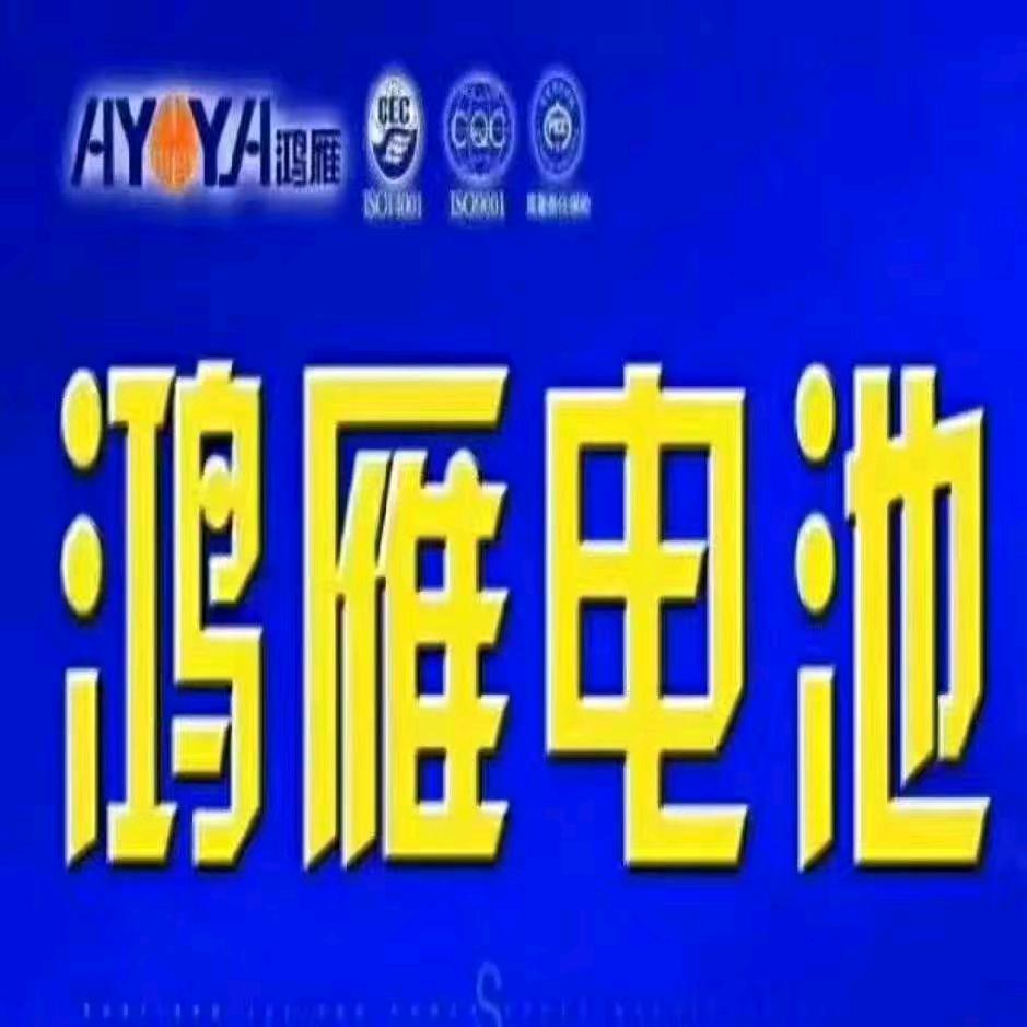 为人民服务批发各种电瓶