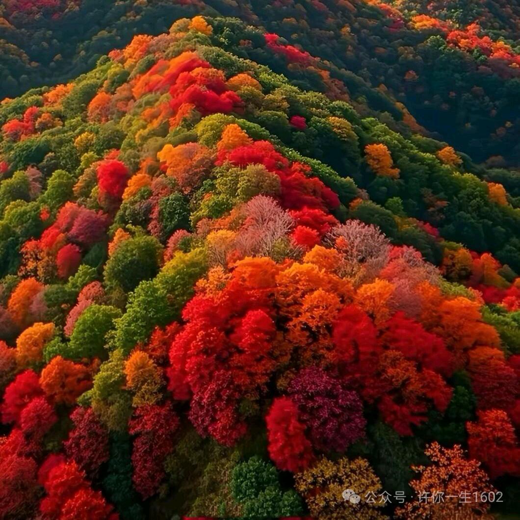 爱苹果🍎对对对👍