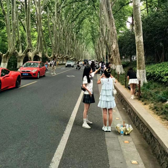 小艺