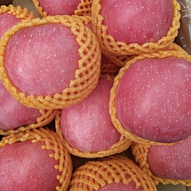 地摊连锁经济未来的大趋势。