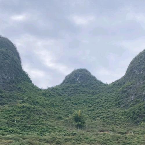 飞飞爱菲菲（爱妃）