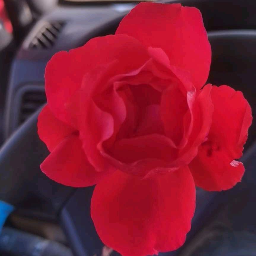 🌈你的微笑很迷人