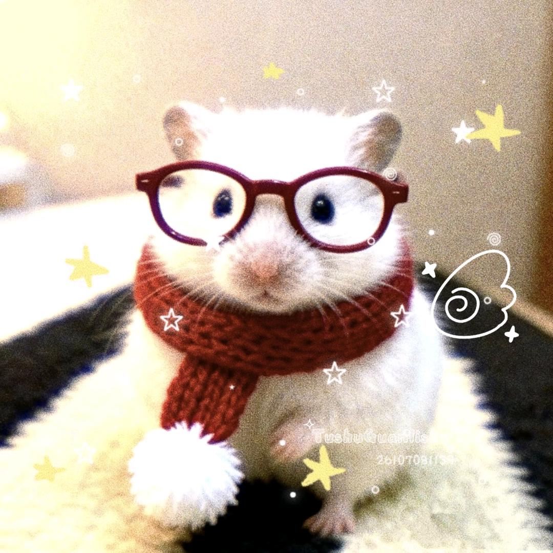 😸好运爆棚版🤍