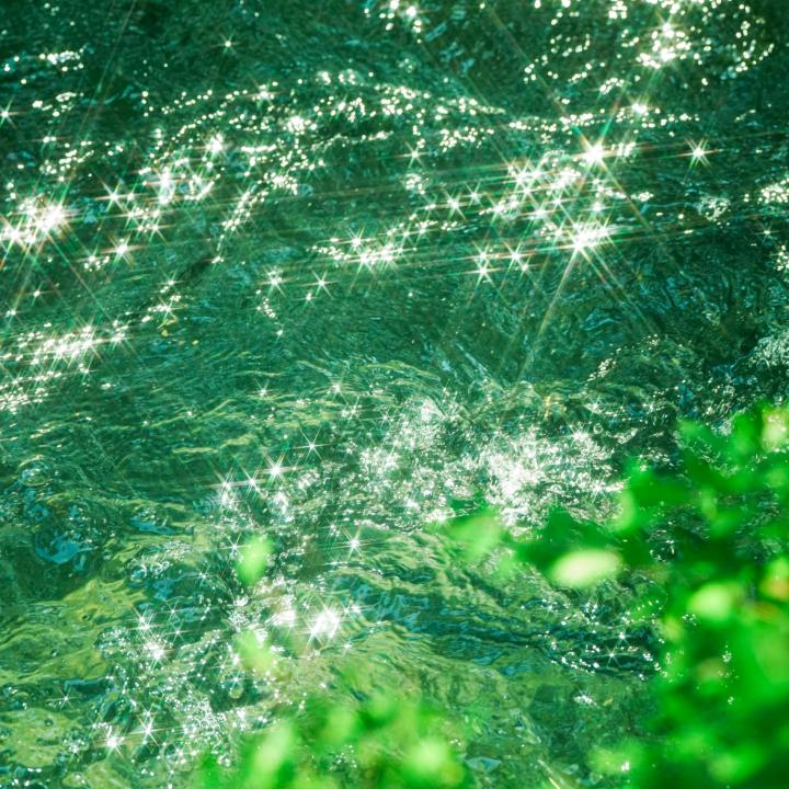 小张的幸福生活